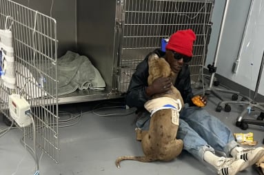 No tenía recursos, pero acampó en la puerta de la veterinaria hasta que ayudaron a su perra herida: “Era mi deber”